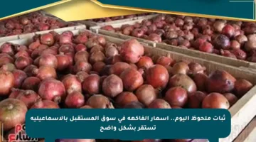 ثبات ملحوظ اليوم.. أسعار الفاكهة في سوق المستقبل بالإسماعيلية تستقر بشكل واضح